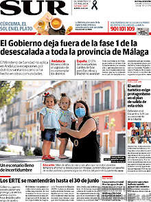 Periodico Sur