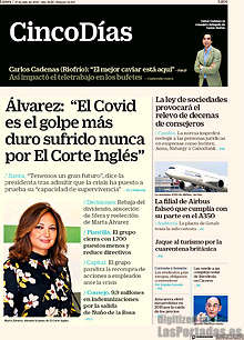 Periodico Cinco Días