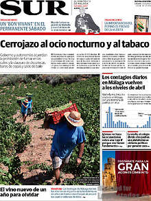 Periodico Sur