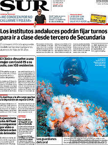 Periodico Sur