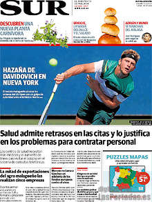 Periodico Sur