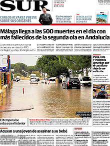 Periodico Sur