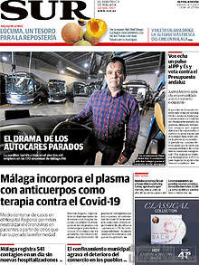 Periodico Sur