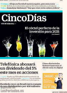 Periodico Cinco Días