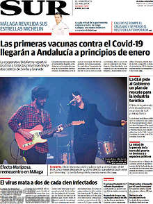 Periodico Sur