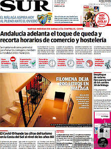 Periodico Sur