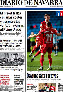 Periodico Diario de Navarra