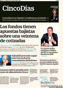 Periodico Cinco Días