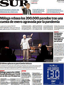 Periodico Sur