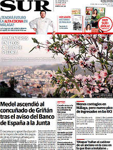 Periodico Sur