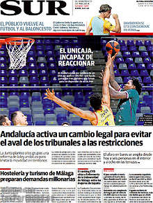 Periodico Sur