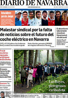 Periodico Diario de Navarra