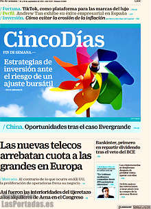 Periodico Cinco Días