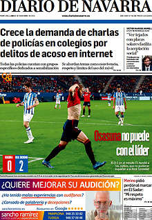 Periodico Diario de Navarra