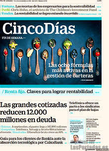 Periodico Cinco Días