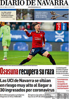 Periodico Diario de Navarra