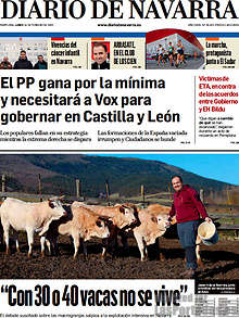 Periodico Diario de Navarra