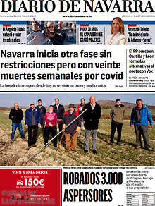 Periodico Diario de Navarra