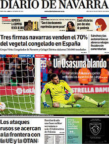 Periodico Diario de Navarra