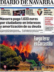 Periodico Diario de Navarra