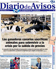 Periodico Diario de Avisos