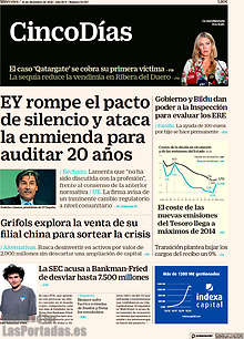 Periodico Cinco Días