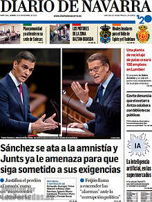 Periodico Diario de Navarra