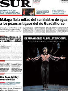 Periodico Sur