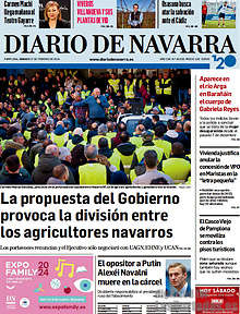 Periodico Diario de Navarra