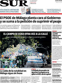 Periodico Sur