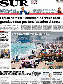 Periodico Sur