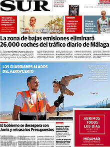 Periodico Sur