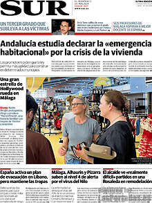 Periodico Sur