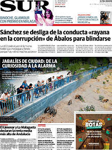 Periodico Sur