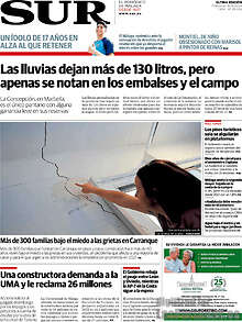 Periodico Sur