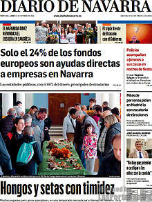 Periodico Diario de Navarra