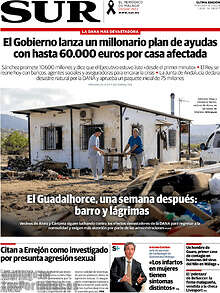 Periodico Sur