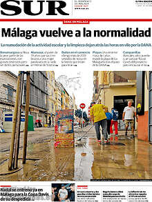 Periodico Sur