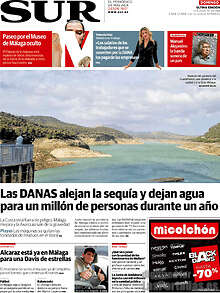 Periodico Sur