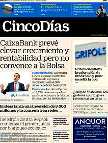 Periodico Cinco Días