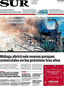 Periodico Sur