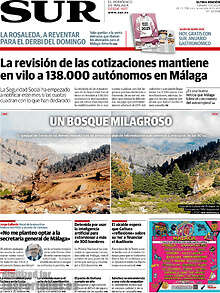 Periodico Sur