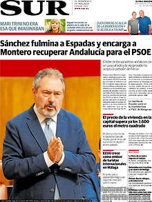 Periodico Sur