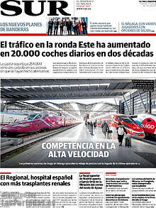 Periodico Sur