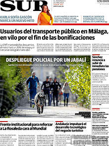 Periodico Sur