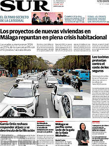 Periodico Sur