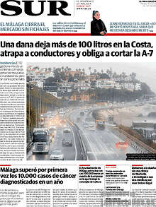 Periodico Sur