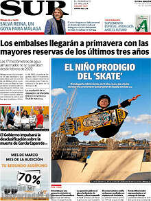 Periodico Sur