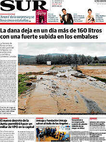 Periodico Sur