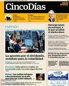 Periodico Cinco Días